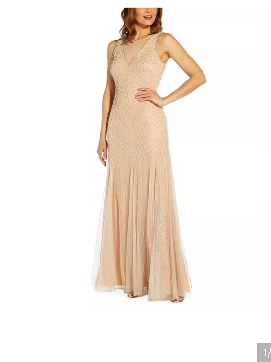 Adrianna Papell Dresses & Skirts - Adrianna Papell Taupe Beaded Mesh Maxi Skirt